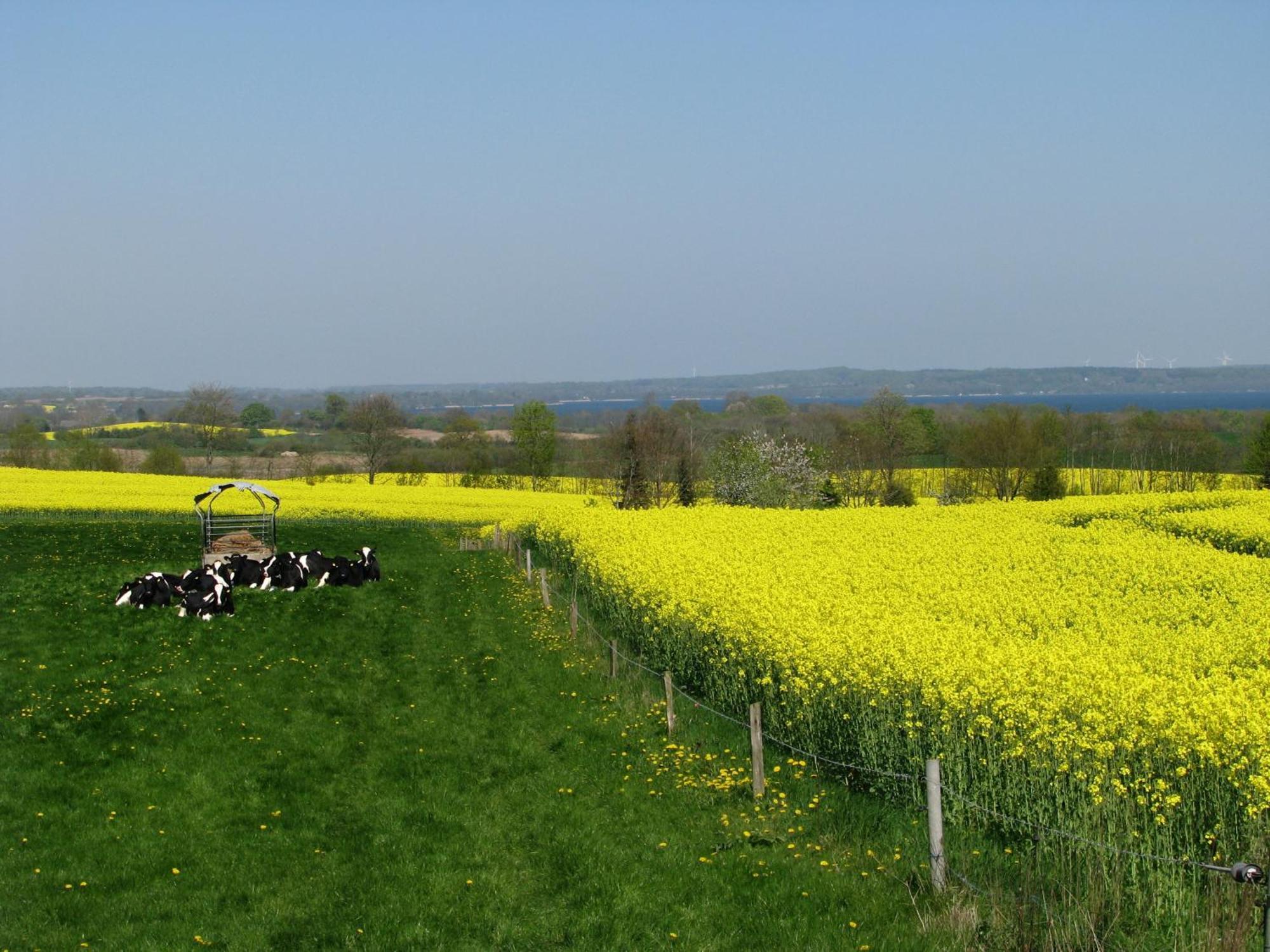 Frietied Am Wittensee Bunsdorf Kültér fotó