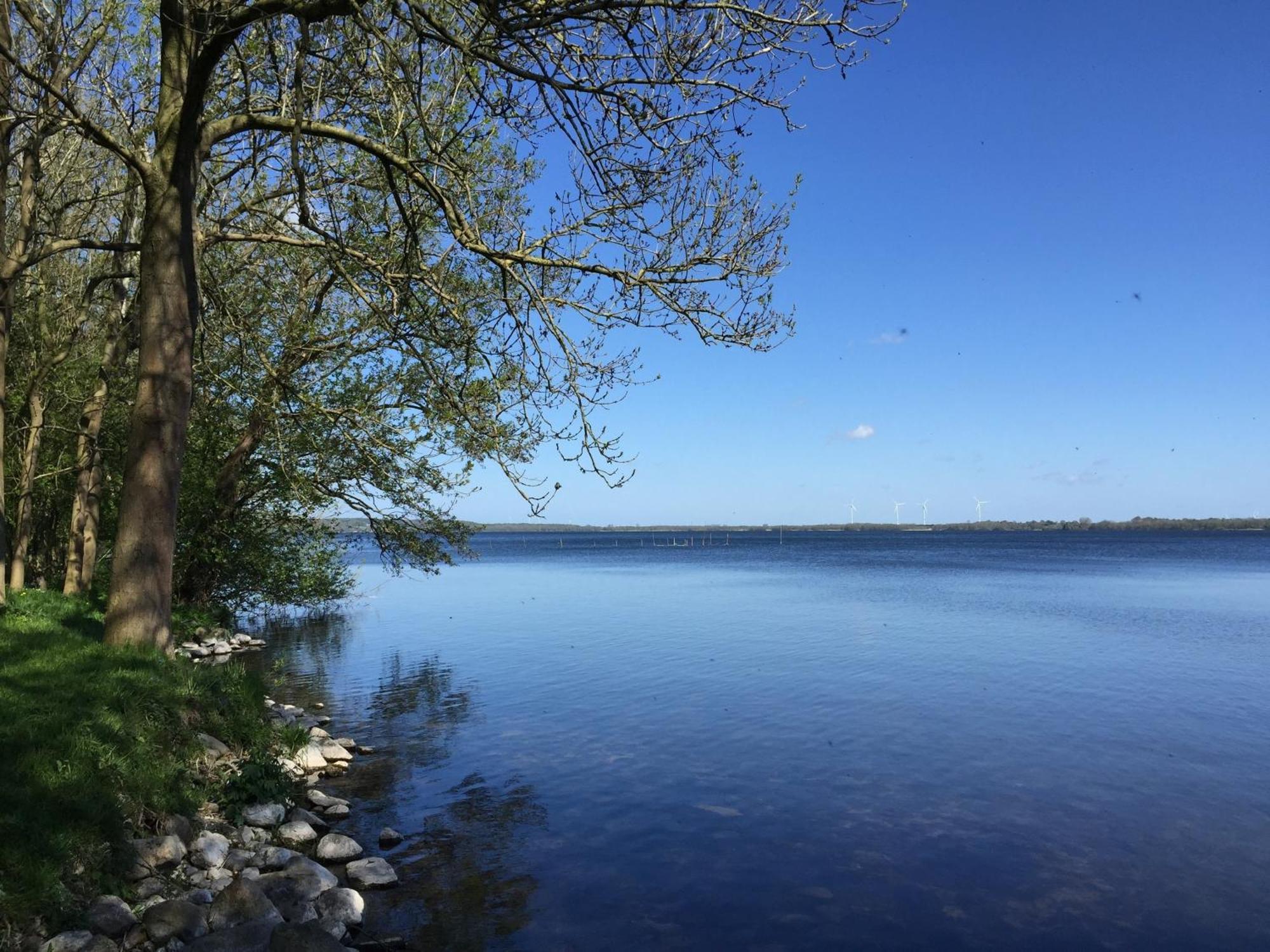 Frietied Am Wittensee Bunsdorf Kültér fotó